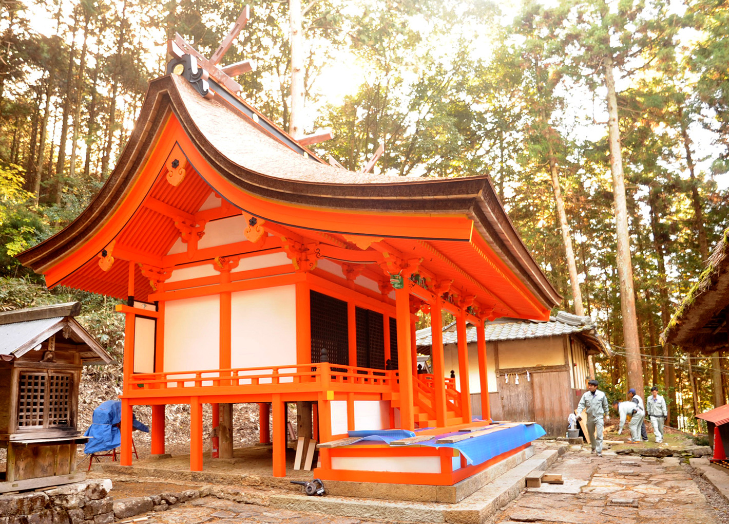 【重要文化財】住吉神社本殿保存修理工事